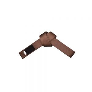 PW-319 Belt